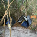 camping-lagarto-na-banana-3