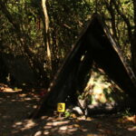 camping-lagarto-na-banana-6