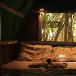 private-room-lagarto-na-banana-hostel-2.jpg